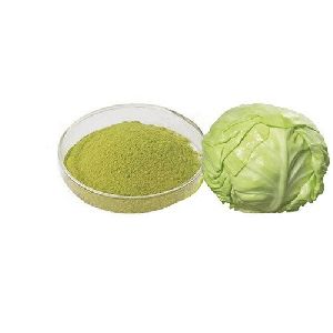 Common Cabbage Powder